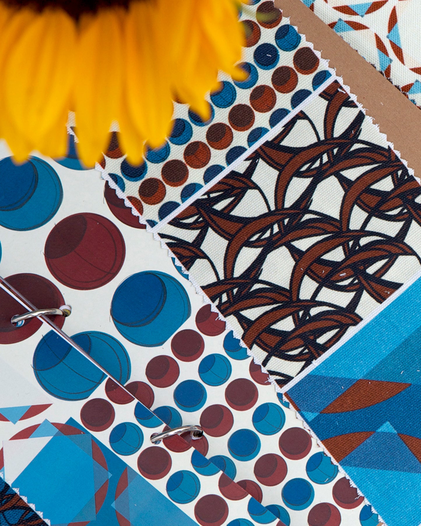 Circ70 Blue Blood - Fabric