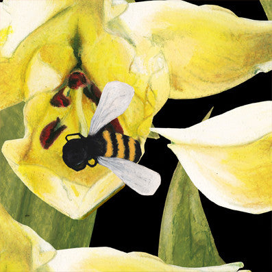 Lily Bee - Abyss Black