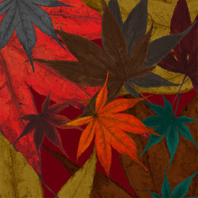 Bluster - Woodland Floor