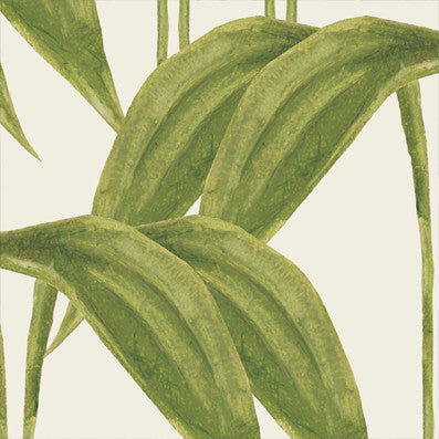 Tropic Wallcovering