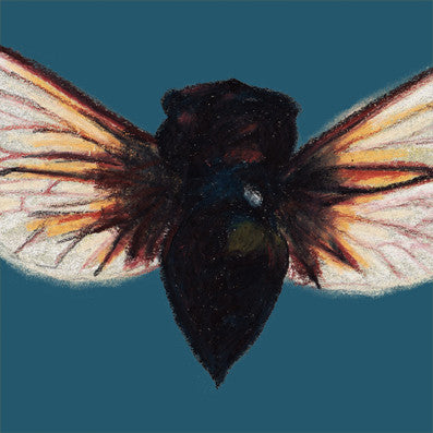 Batwing - Dusky Blue