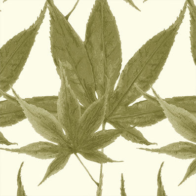 Maple
