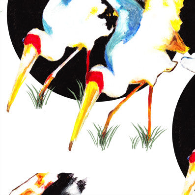 Stork