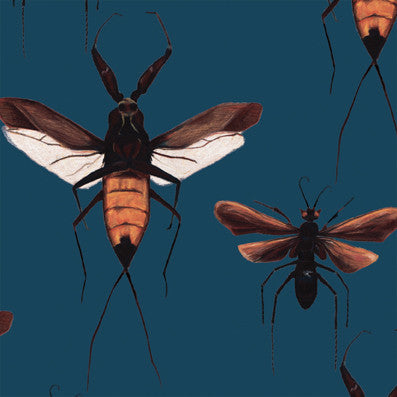 Scorpion Hawk Wallcovering - Dusky Blue