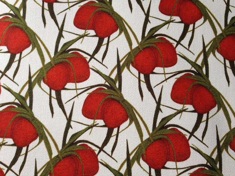 Wild Strawbs - Fabric