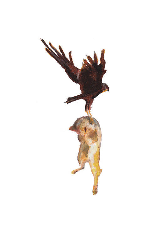 Cat Hawk Hero - Giclée Print