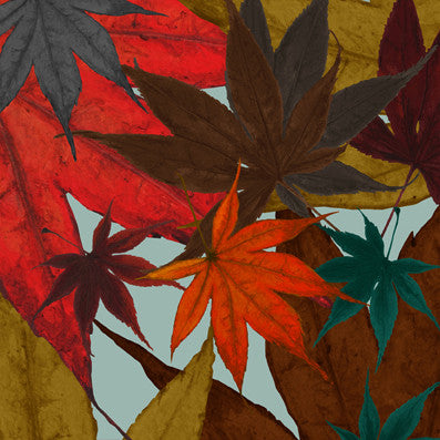 Bluster - Peeking Blue