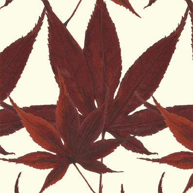 Maple - Horse Chestnut