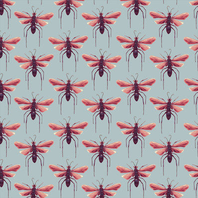 Tarantula Hawk