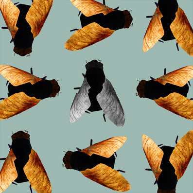 Wooden Flies - Winter Haze