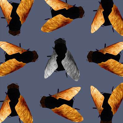 Wooden Flies - Nightfall