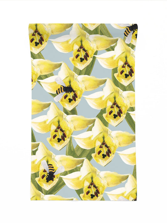 Lily Bee