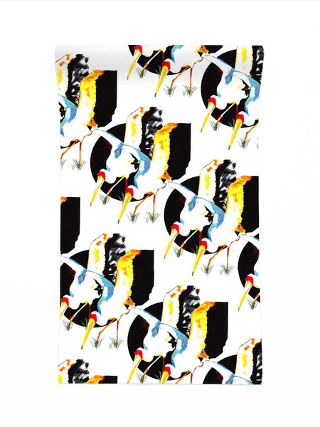 Stork