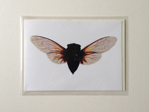 Batwing - Greetings Card