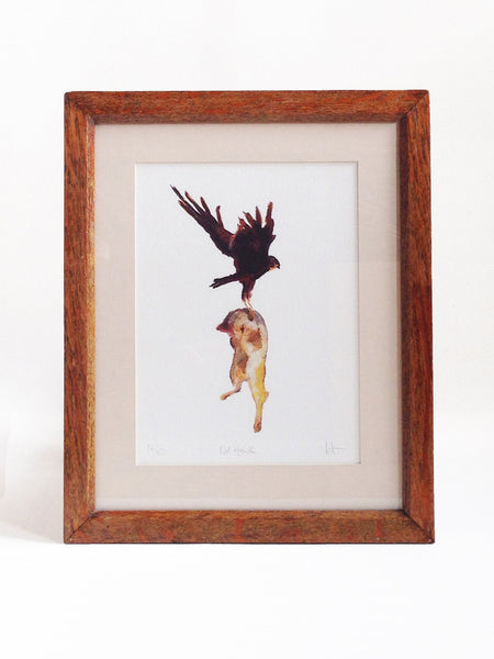Cat Hawk Hero - Giclée Print