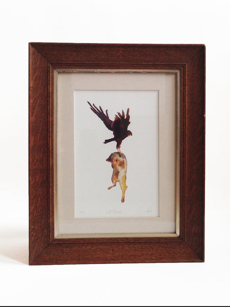 Cat Hawk Hero - Giclée Print