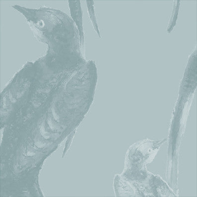 Scissor Tail - Misty Skies