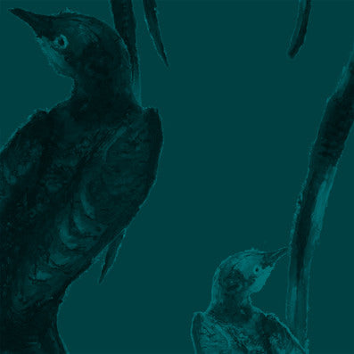 Scissor Tail - Mother Teal