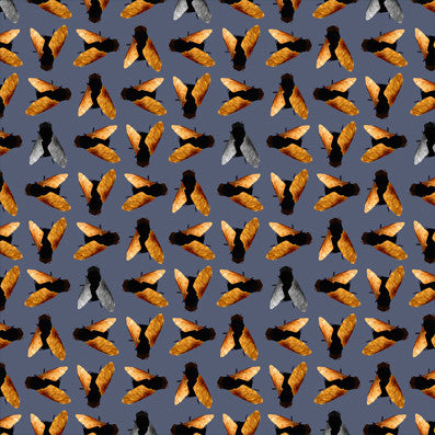 Wooden Flies - Nightfall