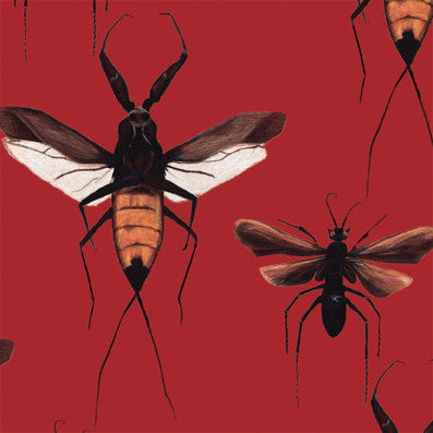 Scorpion Hawk - Ember Red