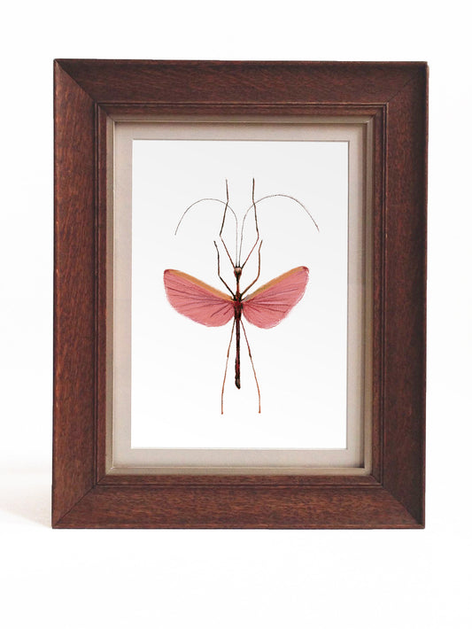Damsel Hero - Giclée Print