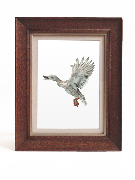 Drake Hero - Giclée Print