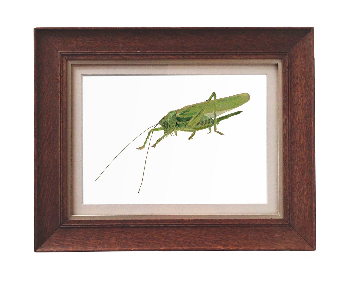 Grasshopper Hero - Giclée Print