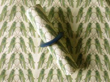 Grass Corn - Napkins
