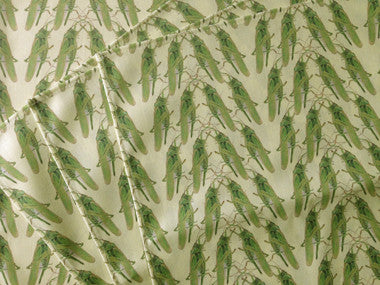 Grass Corn - Napkins